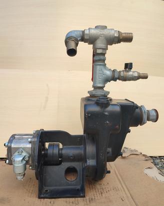 pompa acqua fratelli dieci 