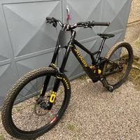 Specialized Demo Race