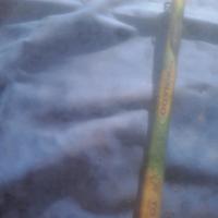 canna da pesca ðaiwa