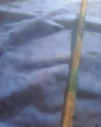 canna da pesca ðaiwa