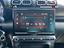 Immagine 16
