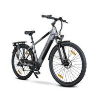 Ebike trekking