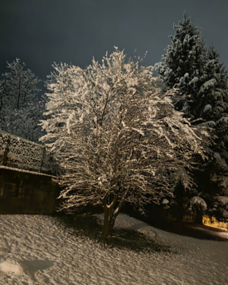 Bilocale Pasturo Valsassina