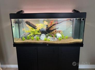 Acquario Rio 240 Juwel completo di tutto