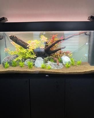 Acquario Rio 240 Juwel completo di tutto