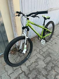 Bicicletta subsin