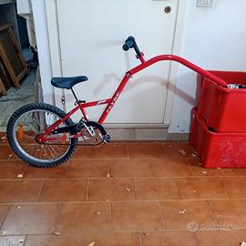 "cammellino" appendice alla bici 