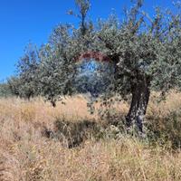 Terreno - Chiaramonte Gulfi