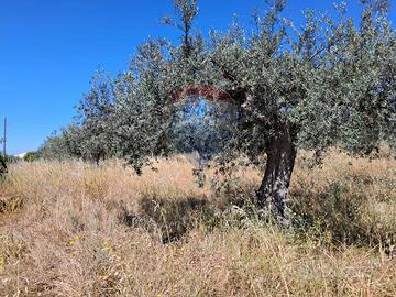 Terreno - Chiaramonte Gulfi