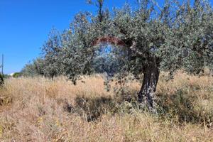 Terreno - Chiaramonte Gulfi