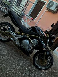 Kawasaki er6n
