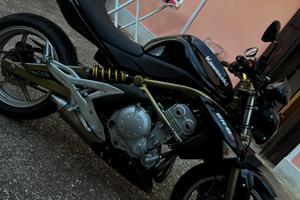 Kawasaki er6n
