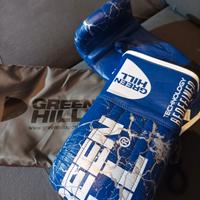 guanti boxe da sacco green Hill 