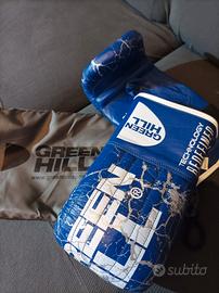 guanti boxe da sacco green Hill 