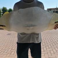 Lampadario in vetro di murano 