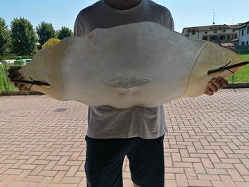 Lampadario in vetro di murano 