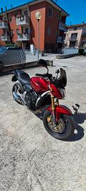 Honda hornet 