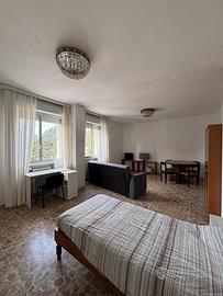 Stanza singola zona Barca