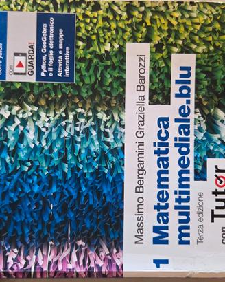 Matematica multimediale blu