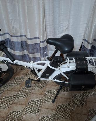 bici elettrica 750