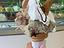 Immagine 13