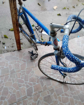 Bici da corsa