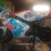 Minimoto grc 50