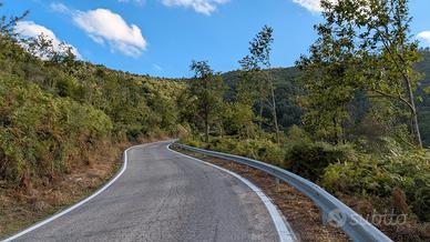 Terreno agricolo 4.3 ettari a Montalbano Elicona