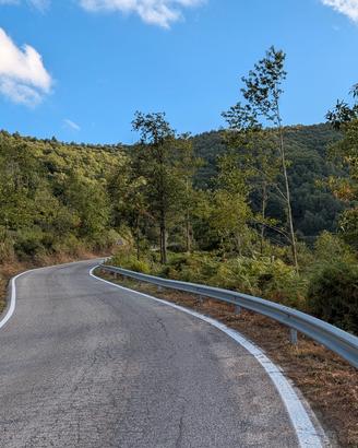 Terreno agricolo 4.3 ettari a Montalbano Elicona