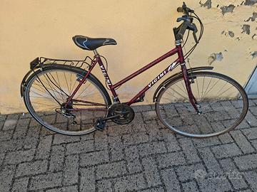 bicicletta con cambio 