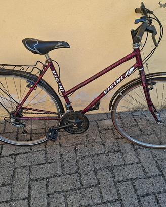 bicicletta con cambio 