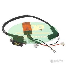 Centralina ad anticipo variabile piaggio