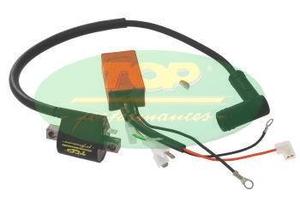 Centralina ad anticipo variabile piaggio