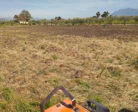 Terreno agricolo