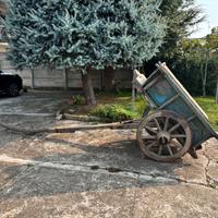 Carro agricolo trainabile