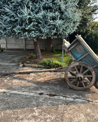 Carro agricolo trainabile