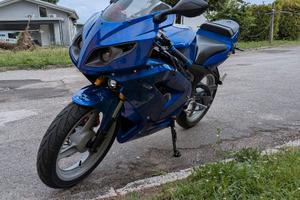 Rieju RS2 del 2005