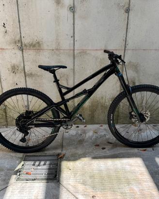 Dartmoor blackbird 2025 nuova