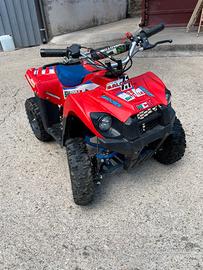 Mini Quad 50
