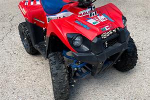 Mini Quad 50