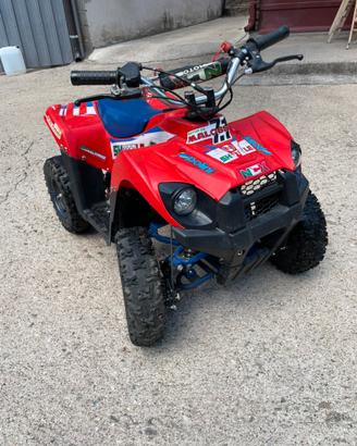 Mini Quad 50