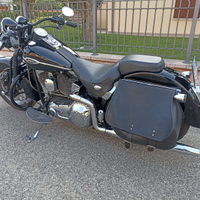 Heritage springer Classic