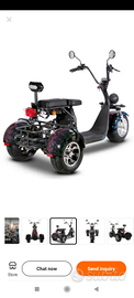 Citycoco 3 ruote potenza 2000-4000 watt. Batt.20ah
