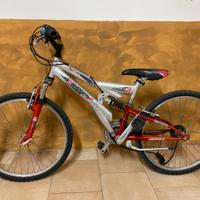Bicicletta maschietto