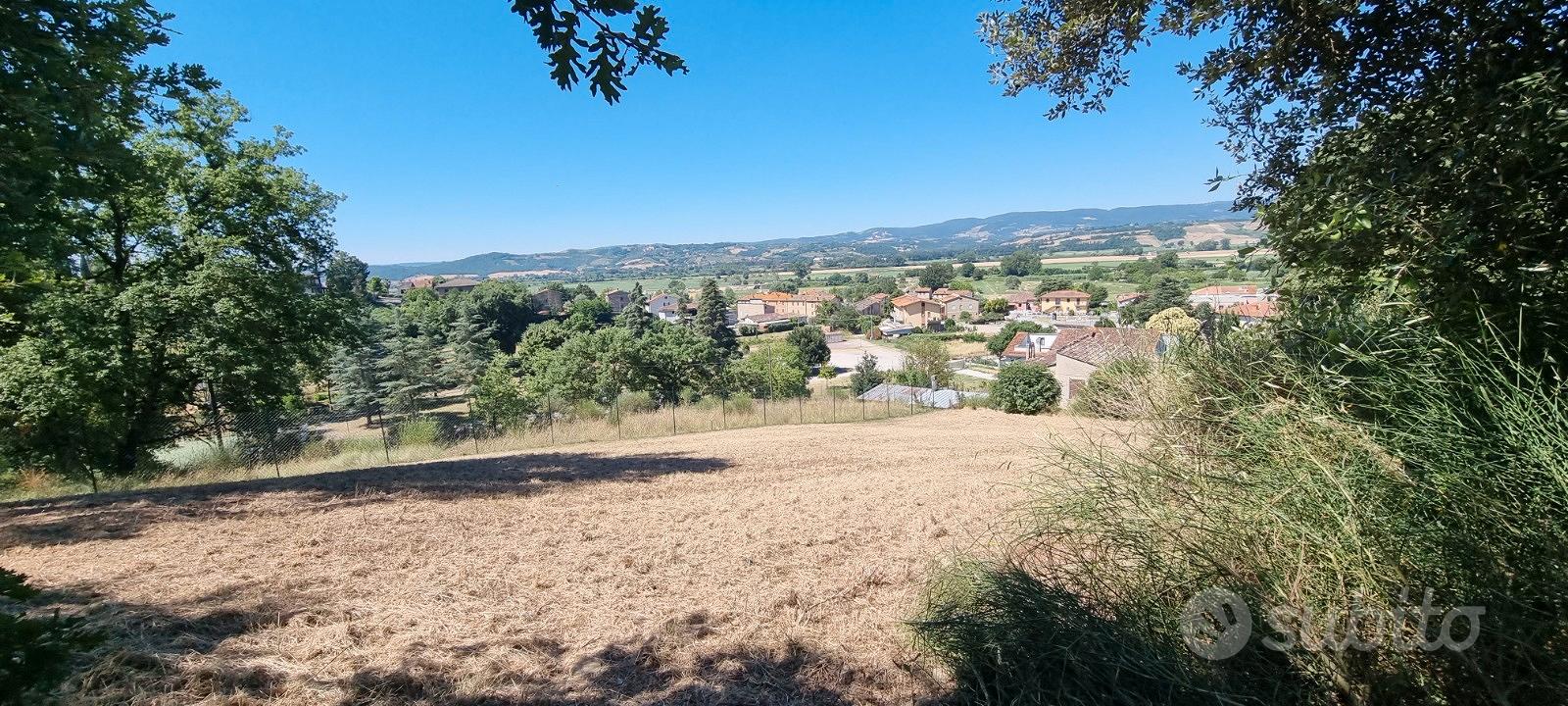 Terreno edificabile panoramico con bosco - Vista 3