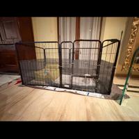 Recinto per cani PawHut 6 pannelli