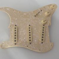 Fender Stratocaster pickguard completo