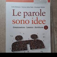 Le parole sono idee Grammatica 