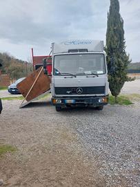 van trasporto cavalli 