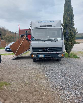van trasporto cavalli 